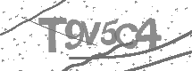 visual captcha